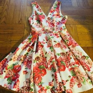 Floral V-Neck Plunge Skater Dress